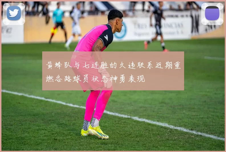 黄蜂队与七连胜的久违联系近期重燃各路球员状态神勇表现