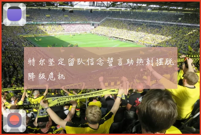 特尔坚定留队信念誓言助热刺摆脱降级危机